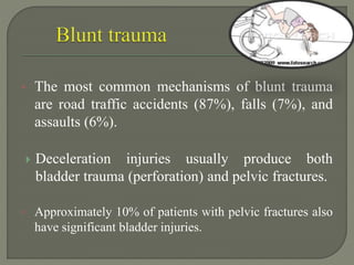 ◦ The most common mechanisms of blunt trauma
are road traffic accidents (87%), falls (7%), and
assaults (6%).
 Deceleration injuries usually produce both
bladder trauma (perforation) and pelvic fractures.
◦ Approximately 10% of patients with pelvic fractures also
have significant bladder injuries.
 