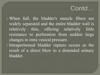 When full, the bladder's muscle fibers are
widely separated and the entire bladder wall is
relatively thin, offering relatively little
resistance to perforation from sudden large
changes in intra vesical pressure.
Intraperitoneal bladder rupture occurs as the
result of a direct blow to a distended urinary
bladder.
 