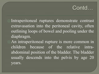  Intraperitoneal ruptures demonstrate contrast
extravasation into the peritoneal cavity, often
outlining loops of bowel and pooling under the
diaphragm.
 An intraperitoneal rupture is more common in
children because of the relative intra-
abdominal position of the bladder. The bladder
usually descends into the pelvis by age 20
years.
 