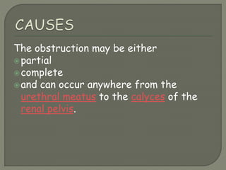 The obstruction may be either
partial
complete
and can occur anywhere from the
urethral meatus to the calyces of the
renal pelvis.
 
