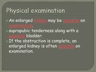 An enlarged kidney may be palpable on
examination.
suprapubic tenderness along with a
palpable bladder.
If the obstruction is complete, an
enlarged kidney is often palpable on
examination.
 