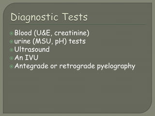 Blood (U&E, creatinine)
urine (MSU, pH) tests
Ultrasound
An IVU
Antegrade or retrograde pyelography
 