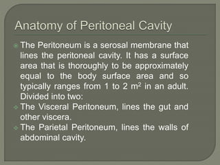  The Peritoneum is a serosal membrane that
lines the peritoneal cavity. It has a surface
area that is thoroughly to be approximately
equal to the body surface area and so
typically ranges from 1 to 2 m2 in an adult.
Divided into two:
 The Visceral Peritoneum, lines the gut and
other viscera.
 The Parietal Peritoneum, lines the walls of
abdominal cavity.
 