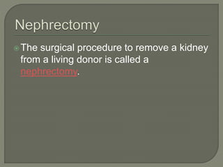 The surgical procedure to remove a kidney
from a living donor is called a
nephrectomy.
 