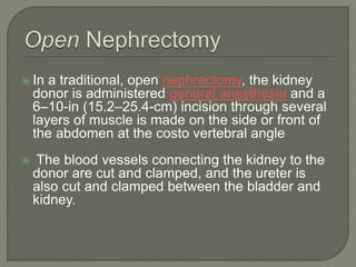  In a traditional, open nephrectomy, the kidney
donor is administered general anesthesia and a
6–10-in (15.2–25.4-cm) incision through several
layers of muscle is made on the side or front of
the abdomen at the costo vertebral angle
 The blood vessels connecting the kidney to the
donor are cut and clamped, and the ureter is
also cut and clamped between the bladder and
kidney.
 