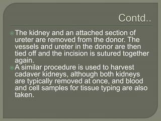 The kidney and an attached section of
ureter are removed from the donor. The
vessels and ureter in the donor are then
tied off and the incision is sutured together
again.
A similar procedure is used to harvest
cadaver kidneys, although both kidneys
are typically removed at once, and blood
and cell samples for tissue typing are also
taken.
 