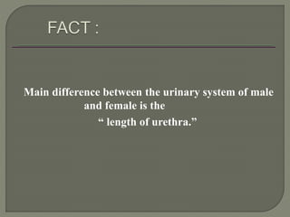 Main difference between the urinary system of male
and female is the
“ length of urethra.”
 