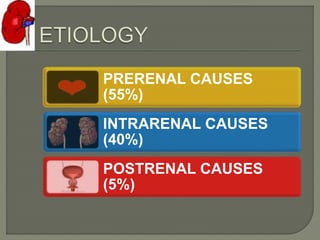 PRERENAL CAUSES
(55%)
INTRARENAL CAUSES
(40%)
POSTRENAL CAUSES
(5%)
 