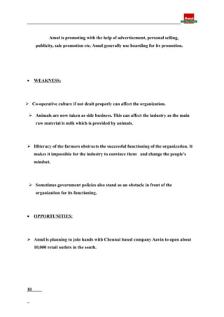 Final report