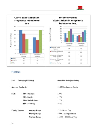 Final report