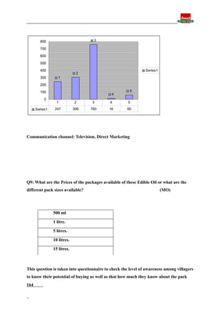 Final report