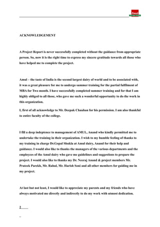 Final report
