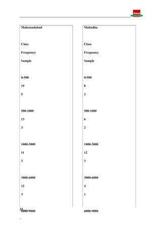 Final report