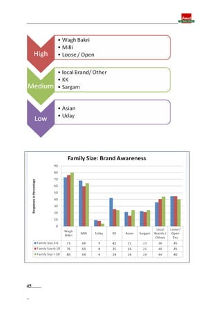 Final report