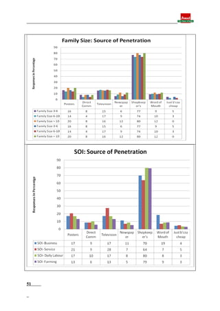 Final report