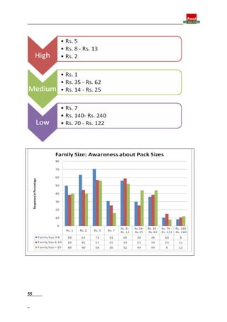 Final report