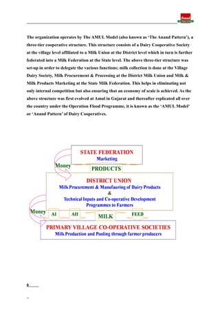 Final report