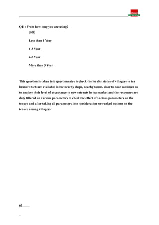 Final report