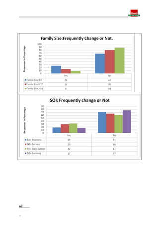 Final report