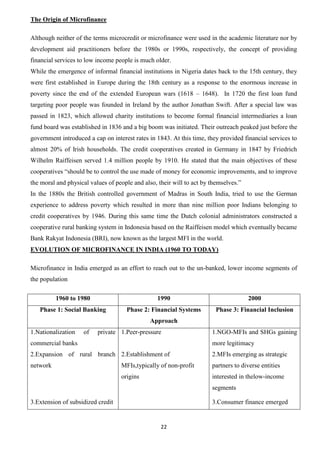 Microfinance : Project Report | DOCX