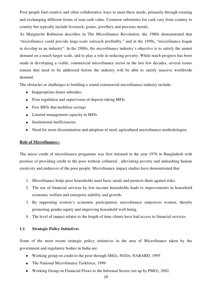 microfinance project report