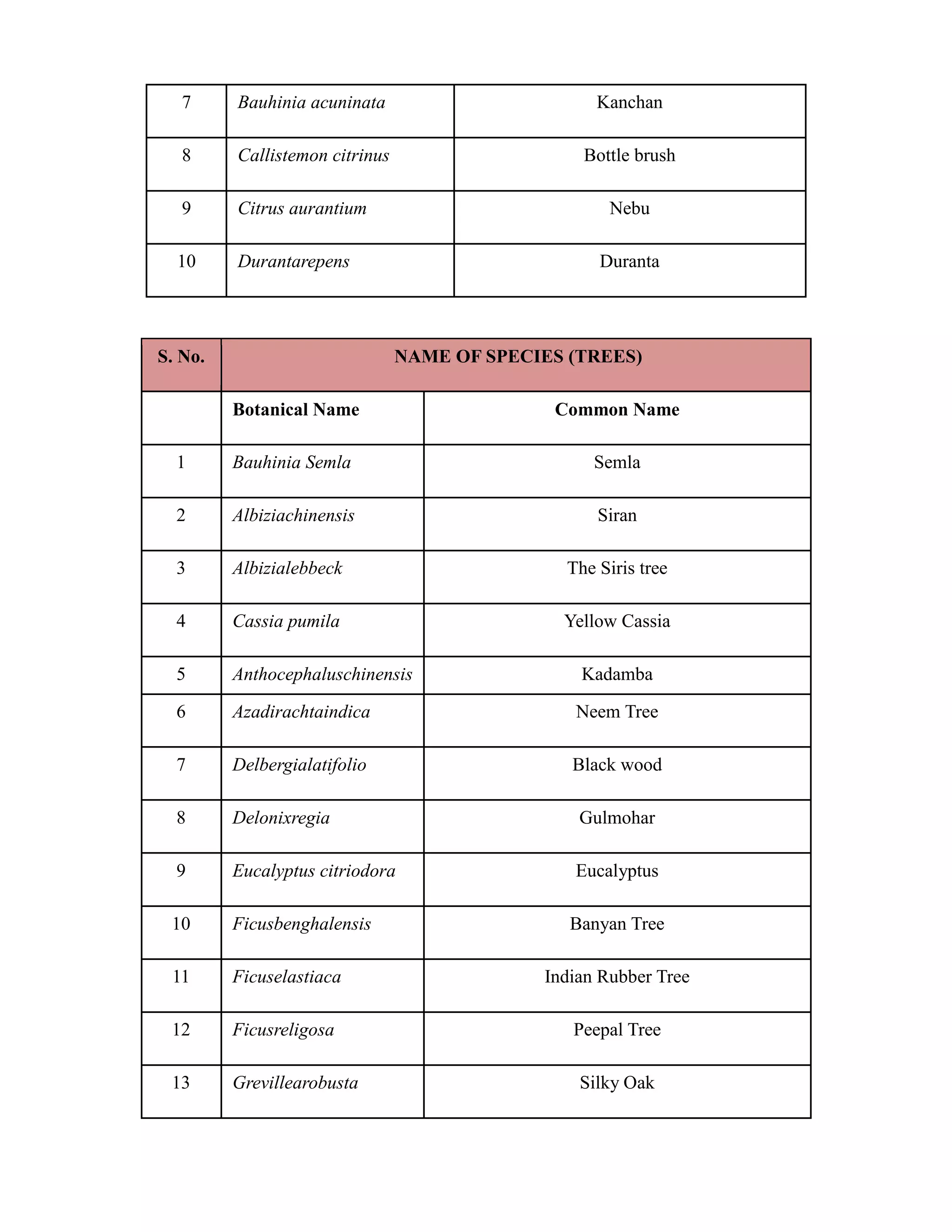 7 Bauhinia acuninata Kanchan 
8 Callistemon citrinus Bottle brush 
9 Citrus aurantium Nebu 
10 Durantarepens Duranta 
S. No. NAME OF SPECIES (TREES) 
Botanical Name Common Name 
1 Bauhinia Semla Semla 
2 Albiziachinensis Siran 
3 Albizialebbeck The Siris tree 
4 Cassia pumila Yellow Cassia 
5 Anthocephaluschinensis Kadamba 
6 Azadirachtaindica Neem Tree 
7 Delbergialatifolio Black wood 
8 Delonixregia Gulmohar 
9 Eucalyptus citriodora Eucalyptus 
10 Ficusbenghalensis Banyan Tree 
11 Ficuselastiaca Indian Rubber Tree 
12 Ficusreligosa Peepal Tree 
13 Grevillearobusta Silky Oak 
 