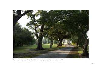 154
Pavements heading to the District Officer’s House shaded by trees which provides such a beautiful view.
 