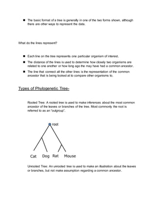  The basic format of a tree is generally in one of the two forms shown, although
there are other ways to represent the data.
What do the lines represent?
 Each line on the tree represents one particular organism of interest.
 The distance of the lines is used to determine how closely two organisms are
related to one another or how long ago the may have had a common ancestor.
 The line that connect all the other lines is the representation of the common
ancestor that is being looked at to compare other organisms to.
Types of Phylogenetic Tree-
Rooted Tree: A rooted tree is used to make inferences about the most common
ancestor of the leaves or branches of the tree. Most commonly the root is
referred to as an “outgroup”.
Unrooted Tree: An unrooted tree is used to make an illustration about the leaves
or branches, but not make assumption regarding a common ancestor.
 