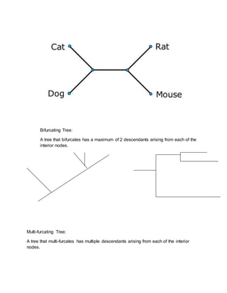 Bifurcating Tree:
A tree that bifurcates has a maximum of 2 descendants arising from each of the
interior nodes.
Multi-furcating Tree:
A tree that multi-furcates has multiple descendants arising from each of the interior
nodes.
 