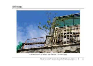 TAYLOR’S UNIVERSITY [SCHOOL OF ARCHITECTURE, BUILDING &DESIGN] 136
The plant growing from the wall beside the metal railing caused a little crack to the wall.
 