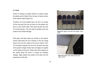 125
9.1.2 Wall
Failure of coating to properly adhere to surface causes
the plaster paint to flake off can be seen at damp corners
of the exterior walls (Figure 8.4).
Therefore, the most suitable way to fix this is to scrape
off the new paint that has not keed into the plaster and
give it a coat of 50% water, 50% paint and then two cots
of normal emulsion. This will seal the problem area and
protect it from further damage.
Dark green and black spots are noticed on the exterior
cement wall below the arch windows of the sky bridge
(Figure 8.9) and the ceiling of the porch (Figure 8.10).
The rainwater dripping from the arch windows and lead
to the growth of algae. Water stain and algae are spotted
on the ceiling of the porch. Water stain which appears at
the ceiling along the corner is caused by rainwater
leakage. Algae destroy the quality of the paint and the
appearance of the wall.
Figure 9.4 Algae on the wall of sky bridge. (Yeoh,,
2016)
Figure 9.5 Algae on the ceiling of the porch
(Yeoh, 2016)
 