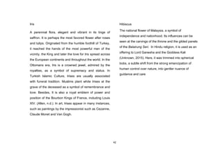 42
Iris
A perennial flora, elegant and vibrant in its tinge of
saffron. It is perhaps the most favored flower after roses
and tulips. Originated from the humble foothill of Turkey,
it reached the hands of the most powerful man of the
vicinity, the King and later the love for Iris spread across
the European continents and throughout the world. In the
Ottomans era, Iris is a crowned jewel, admired by the
royalties, as a symbol of supremacy and status. In
Turkish Islamic Culture, Irises are usually associated
with funeral tradition. Muslims plant white Irises at the
grave of the deceased as a symbol of remembrance and
love. Besides, It is also a royal emblem of power and
position of the Bourbon Kings of France, including Louis
XIV. (Allen, n.d.). In art, Irises appear in many instances,
such as paintings by the impressionist such as Cezanne,
Claude Monet and Van Gogh.
Hibiscus
The national flower of Malaysia, a symbol of
independence and nationhood. Its influences can be
seen at the carvings of the throne and the gilded panels
of the Balairung Seri. In Hindu religion, it is used as an
offering to Lord Ganesha and the Goddess Kali
(Unknown, 2015). Here, it was trimmed into spherical
bobs, a subtle shift from the strong emancipation of
human control over nature, into gentler nuance of
guidance and care
 