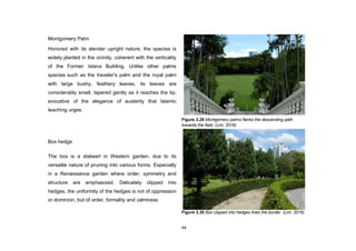 44
Montgomery Palm
Honored with its slender upright nature, the species is
widely planted in the vicinity, coherent with the verticality
of the Former Istana Building. Unlike other palms
species such as the traveler's palm and the royal palm
with large bushy, feathery leaves, its leaves are
considerably small, tapered gently as it reaches the tip,
evocative of the elegance of austerity that Islamic
teaching urges.
Box hedge
The box is a stalwart in Western garden, due to its
versatile nature of pruning into various forms. Especially
in a Renaissance garden where order, symmetry and
structure are emphasized. Delicately clipped into
hedges, the uniformity of the hedges is not of oppression
or dominion, but of order, formality and calmness
Figure 3.29 Montgomery palms flanks the descending path
towards the field. (Lim, 2016)
Figure 3.30 Box clipped into hedges lines the border. (Lim, 2016)
 