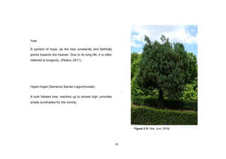 45
Yew
A symbol of hope, as the tree constantly and faithfully
points towards the heaven. Due to its long life, it is often
referred to longevity. (Peters, 2011)
Hujan-hujan (Samania Saman Leguminosae)
A lush foliated tree, reached up to stories high, provides
ample sunshades for the vicinity.
.
Figure 3.31 Yew. (Lim, 2016)
 