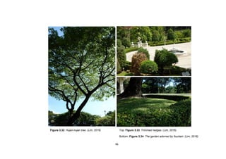 46
Figure 3.32. Hujan-hujan tree. (Lim, 2016) Top: Figure 3.33. Trimmed hedges. (Lim, 2016)
Bottom: Figure 3.34. The garden adorned by fountain. (Lim, 2016)
 