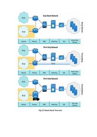Fig 5.5 Dual Stack Network
 