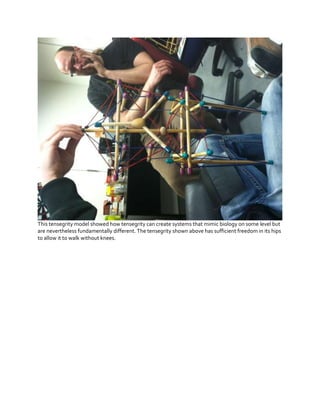 This tensegrity model showed how tensegrity can create systems that mimic biology on some level but
are nevertheless fundamentally different. The tensegrity shown above has sufficient freedom in its hips
to allow it to walk without knees.

 