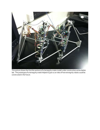 This picture shows the first the sections of a tensegrity snake model under construction at the NASA
lab. The prototype of a tensegrity snake helped to give us an idea of how tensegrity robots could be
constructed in the future.

 