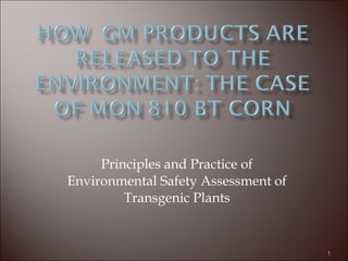 Principles and Practice of Environmental Safety Assessment of Transgenic Plants 