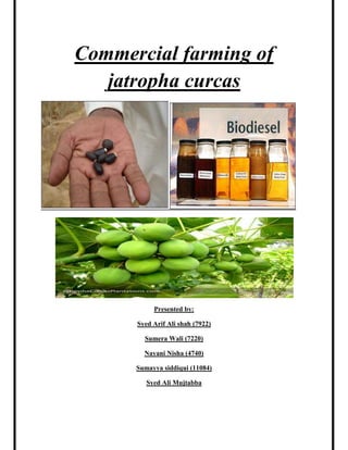 Commercial farming of jatropha curcas<br />Presented by:<br />Syed Arif Ali shah (7922)<br />Sumera Wali (7220)<br />Nayani Nisha (4740)<br />Sumayya siddiqui (11084)<br />Syed Ali Mujtabba<br />OUTLINE FOR OUR BUSINESS PLAN<br />,[object Object]