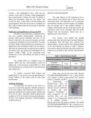 BIOL 3955: Research Seminar
2015
3
forming a thin peptidoglycan layer, while the dye
remains in the cells by forming a thick peptidoglycan
layer (gram-positive). Finally, one drop of safranin is
added and immediately rinsed for one minute. The
second dye gives a pink color to the decolorized cells
(gram-negative). When the Gram stain is completed, the
glass slide is studied under the microscope to determine
cell morphology.
Purification and amplification of Genomic DNA
The DNA of each bacterium is needed for future
and more complex experimentation. Purification of
genomic DNA involves disruption and lysis of the
bacteria followed by the removal of proteins and other
contaminants and finally recovery of the DNA. To isolate
the DNA, 500ųL of bacterial broth were transferred to a
labeled micro tube and heated at 100°C for ten minutes.
After that, the bacteria broth was placed in an ice bath for
ten minute. Next, the sample was centrifugation for ten
minutes. Finally, 300ųL of the supernatant were
transferred to a new tube, labeled, and ready for future
procedures.
The isolated DNA was amplified using two
primers: dNTP and Taq. This procedure consists of
adding 6ųL of the previously isolated DNA to a PCR
tube and placing it in a thermal cycler to start the heating
and cooling cycle.
To confirm successful DNA isolation and
amplification, it is necessary to run a gel electrophoresis.
Further analysis of the results could be done using
bioinformatics
Antibiotic Production
To characterize the bacteria in the study, it is
necessary to study their capacities. Antibiotic production
is one such capacity. Each bacterium was placed on a
paper disc and placed in two agarose plates streaked with
E.coli and M. luteus. The plates should be placed in the
incubator at 30°C for 24 hours for bacterial proliferation.
If there is any antibiotic production, bacterial inhibition
should be observed.
RESULTS AND DISCUSSION
The main objective in this experiment was to
isolate bacteria from tropical soils of Puerto Rico and
characterize them. The expectation was to experiment
and determine whether or not the samples were antibiotic
and oil resistant and if they produce antibiotic or
cellulase. Unfortunately, because of the lack of time, the
experiment could not be concluded. Still, the results
obtained from the procedures already done are a
significant part of the research.
Two bacteria were studied and partially
characterized. Each bacterium had a bacterial designator
to distinguish them and both were collected from
different places. Location and the most important details
of the soil collection are shown in Table 1. Dilutions
were made to purify the bacteria. Once the bacteria were
isolated it was possible to start with the characterization
tests.
Gram stain was the first test made. Bacteria
S15UPRC-RISEAMGP30SP01A1
was a gram positive
Cocci (Figure 1). When a gram positive cocci bacteria
colony is clustered, usually it
is characteristic of
Staphylococcus. Most are
harmless and reside on the
skin and mucous membranes
of humans and other
organisms. Nevertheless, a
small component of soil
microbial flora can also
contain it. It is characterized
as an antibiotic resistant
bacteria and it does not produce antibiotic. The sample
S15UPRC-RISEAMGP30SP01A1,
like a Staphylococcus,
demonstrated negative results in antibiotic production for
Table 1: Soil Collection Details
Bacterial Designator Location
Approximate
Temperature
pH
S15UPRC-
RISEAMGP30SP01A1 Cayey 77°F 5.5
S15UPRC-
RISERBCR30P01A2 Aibonito 68°F 5.0
Figure 1: Positive Cocci
 