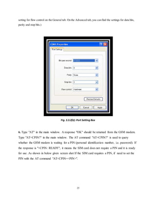 Final report sample | DOCX