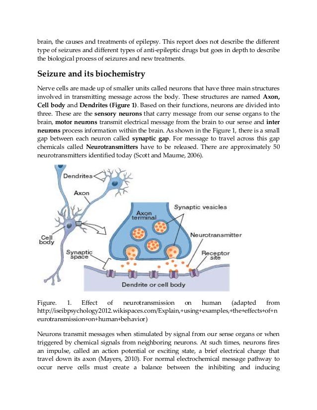 Forensic science   term paper