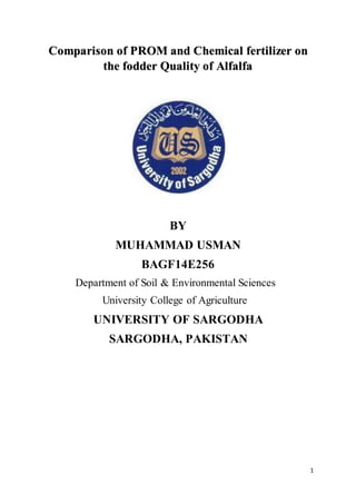 1
Comparison of PROM and Chemical fertilizer on
the fodder Quality of Alfalfa
BY
MUHAMMAD USMAN
BAGF14E256
Department of Soil & Environmental Sciences
University College of Agriculture
UNIVERSITY OF SARGODHA
SARGODHA, PAKISTAN
 