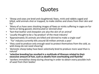 Quotes
• ‘Sheep and cows are bred and slaughtered; foxes, mink and rabbits caged and
killed, wild animals shot or trapped, to make clothes and shoes from their skin and
fur.’
• ‘Many of us have seen shocking images of foxes or minks suffering in cages on fur
farms or being gassed, electrocuted or skinned alive’
• ‘fact that leather and sheepskin are also the skin of an animal’
• ‘usually thought to be a 'by-product' of the meat industry’
• ‘Approximately 35 animals are killed and skinned to make a single coat’
• ‘'fur' industry currently kills around 30 million animals a year.’
• ‘they used to produce only enough wool to protect themselves from the cold, as
wild sheep do not need shearing’
• ‘domestic sheep today have been selectively bred to produce more wool than is
natural’
• ‘selective breeding has resulted in a multitude of illnesses related to their
excessive amount of hair, such as deaths from overheating and flystrike’
• ‘workers immobilise sheep during shearing in order to obtain every possible inch
of wool from their bodies’
 