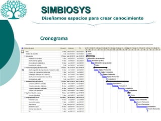 SIMBIOSYS Diseñamos espacios para crear conocimiento Cronograma 