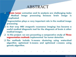PPT on BRAIN TUMOR detection in MRI images based on IMAGE SEGMENTATION ...