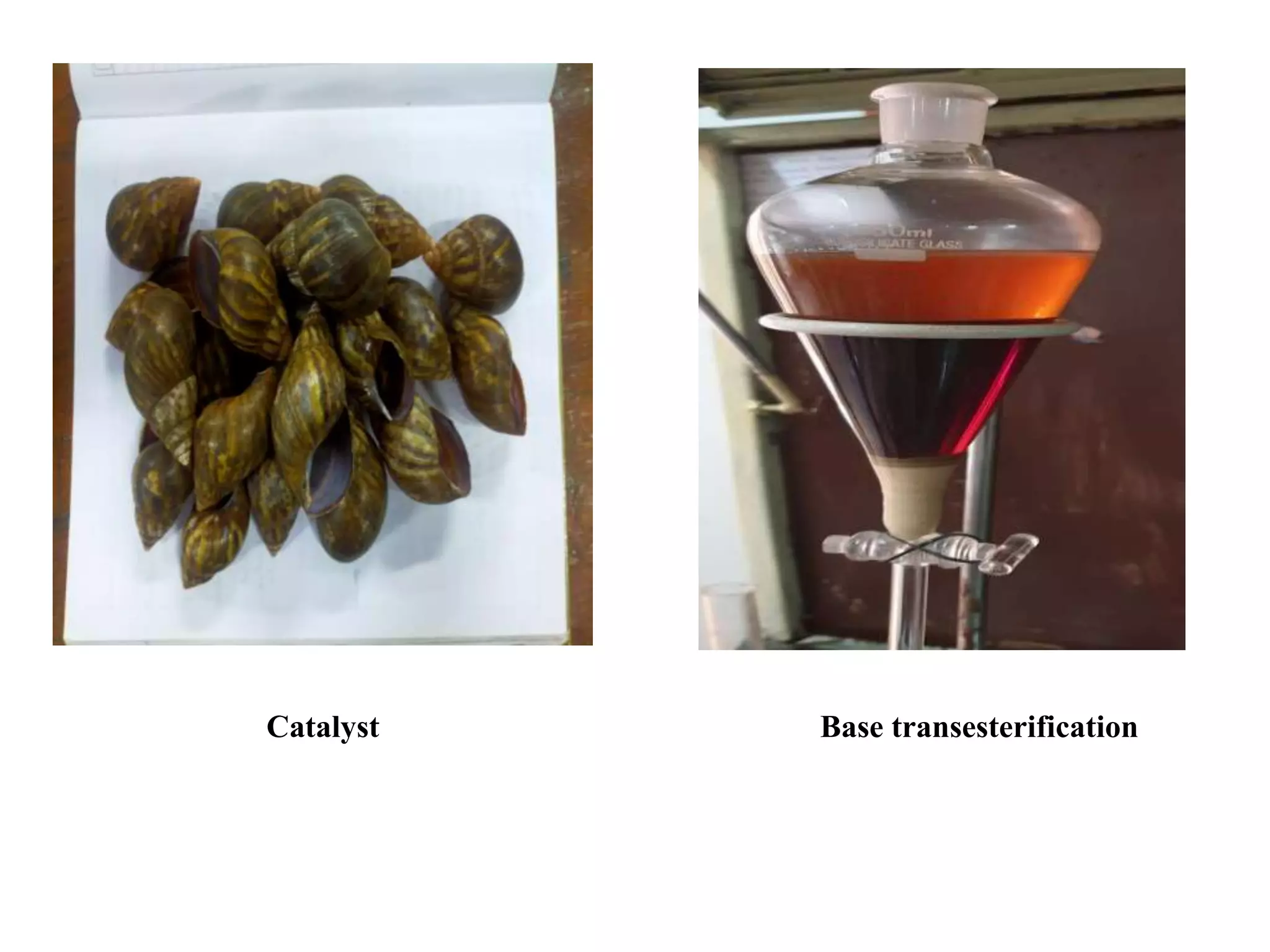 Catalyst Base transesterification
 