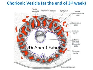 Chorionic Rim Revision on General Embryology 1 | PPS