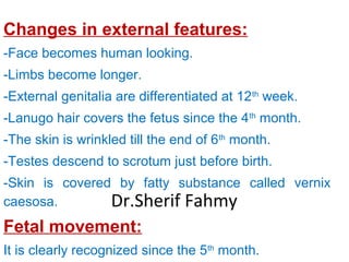 Changes in external features:
-Face becomes human looking.
-Limbs become longer.
-External genitalia are differentiated at 12th
week.
-Lanugo hair covers the fetus since the 4th
month.
-The skin is wrinkled till the end of 6th
month.
-Testes descend to scrotum just before birth.
-Skin is covered by fatty substance called vernix
caesosa.
Fetal movement:
It is clearly recognized since the 5th
month.
Dr.Sherif Fahmy
 